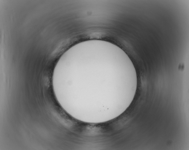 X0000111800311200908131442