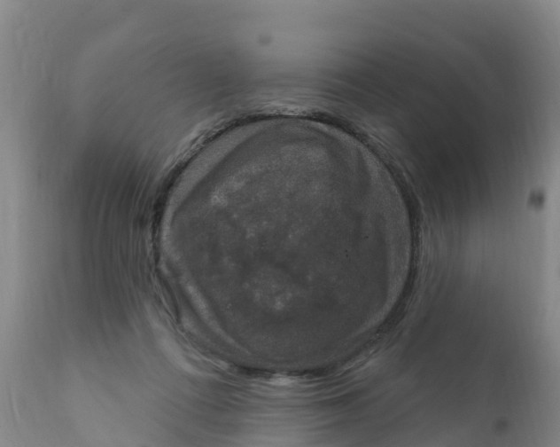 X0000111800312200908131442
