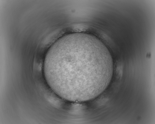 X0000111800315200908131442