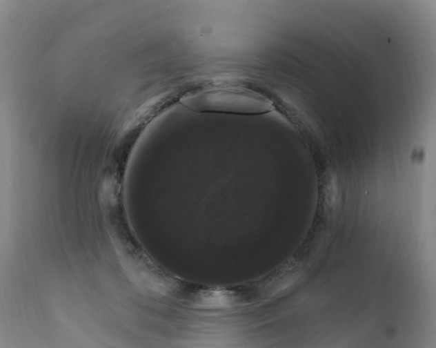 X0000111800316200908131442