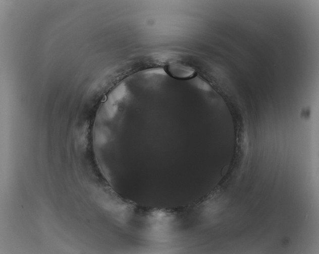 X0000111800319200908131442
