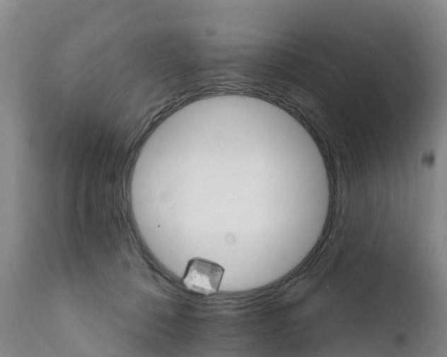 X0000111800320200908131442