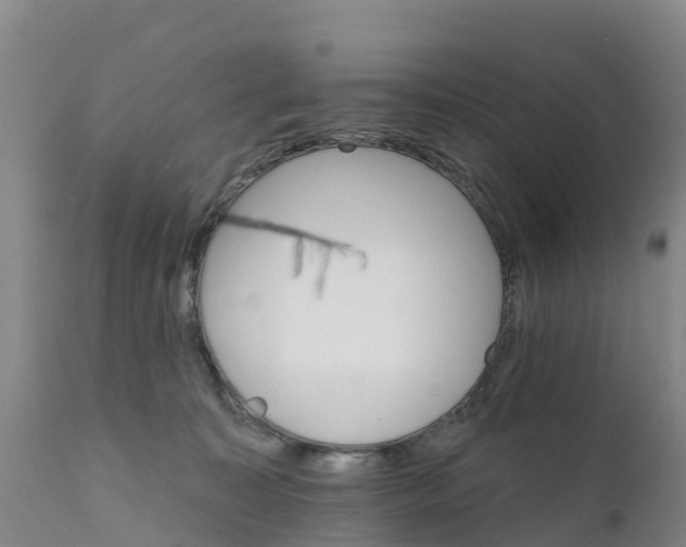 X0000111800323200908131442