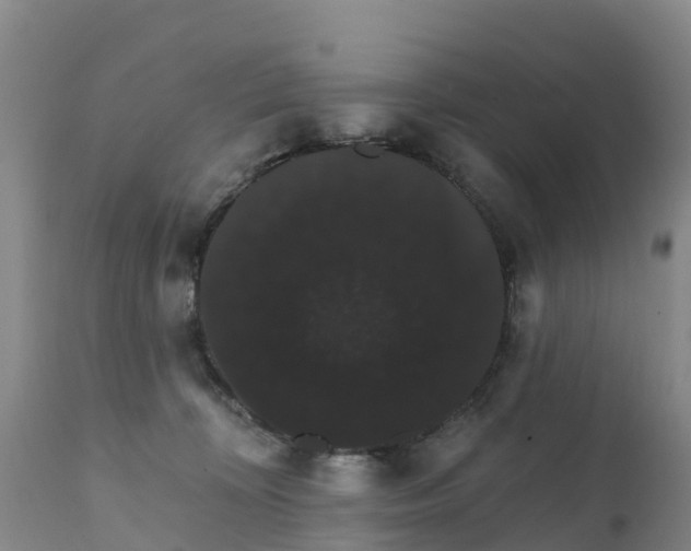 X0000111800324200908131442