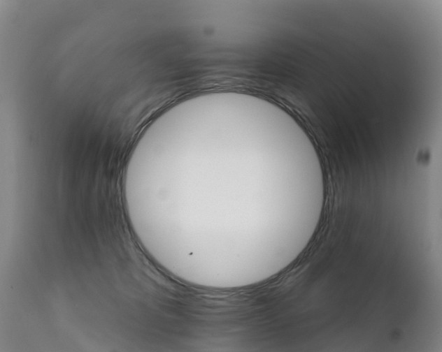X0000111800325200908131442