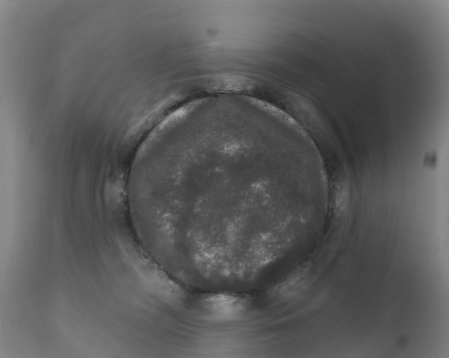 X0000111800326200908131442