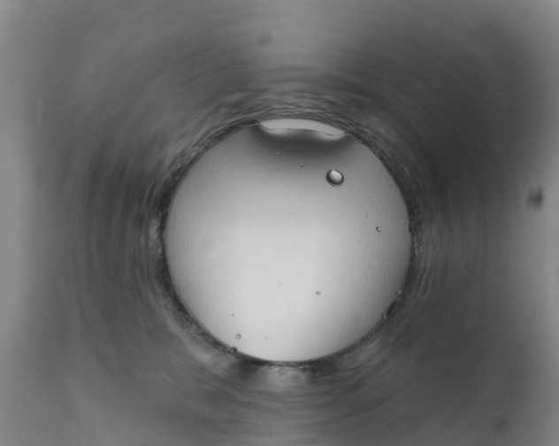 X0000111800327200908131442