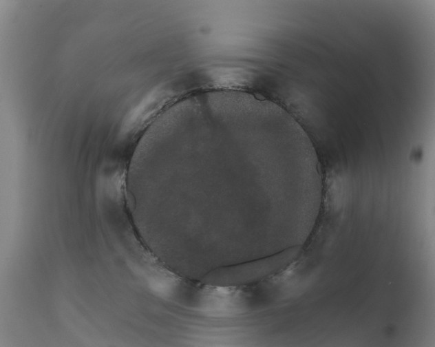 X0000111800329200908131442