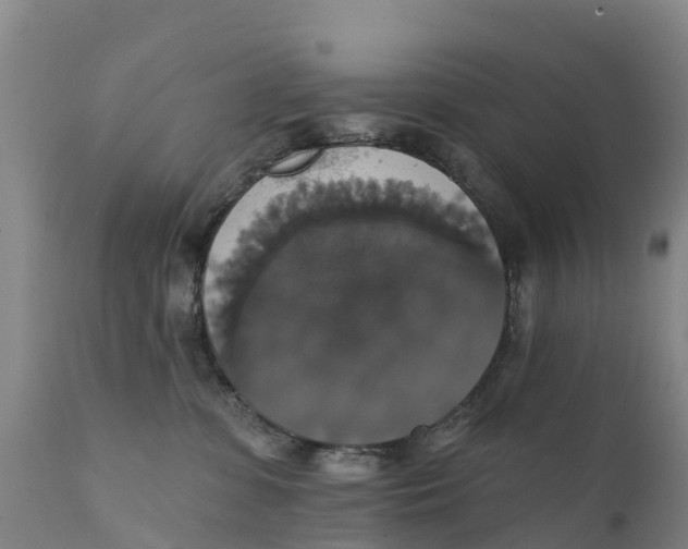 X0000111800331200908131442