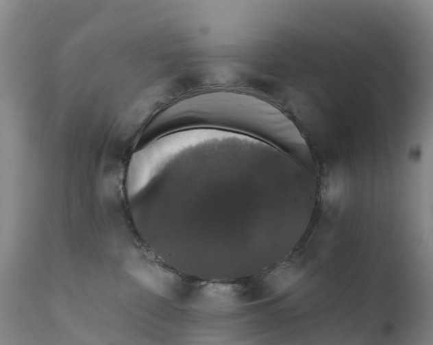 X0000111800332200908131442