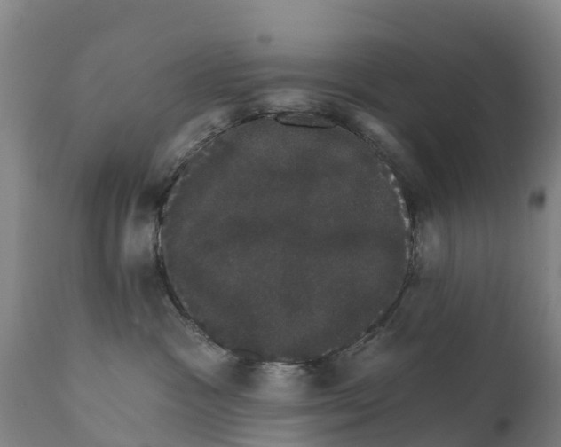 X0000111800333200908131442