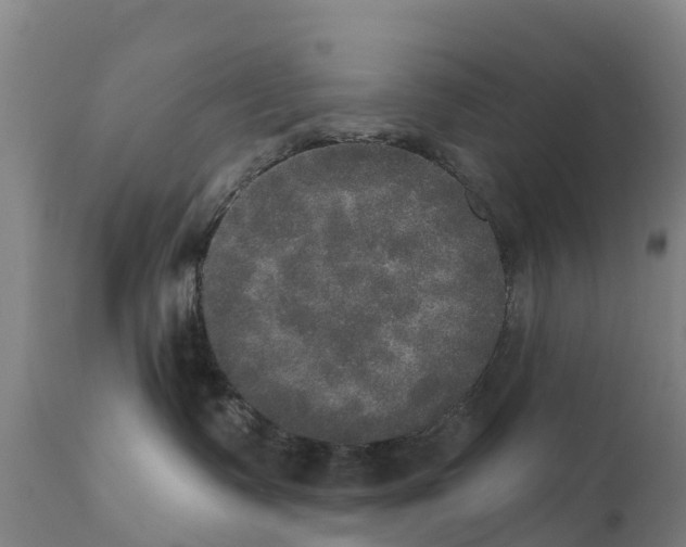 X0000111800335200908131442