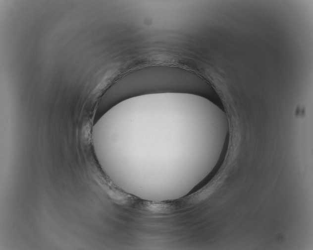 X0000111800336200908131442