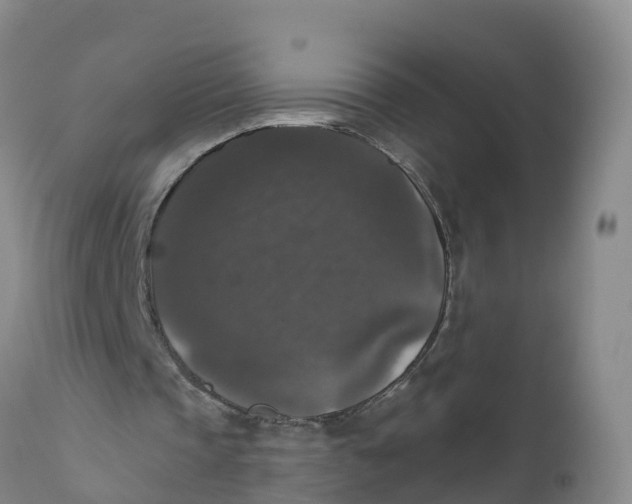 X0000111800337200908131441