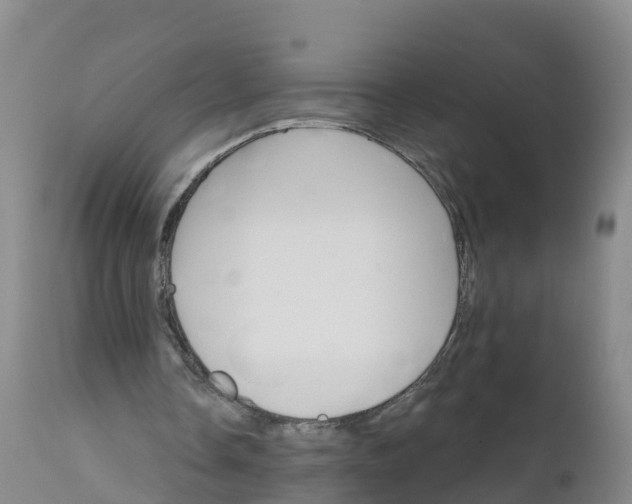 X0000111800338200908131441