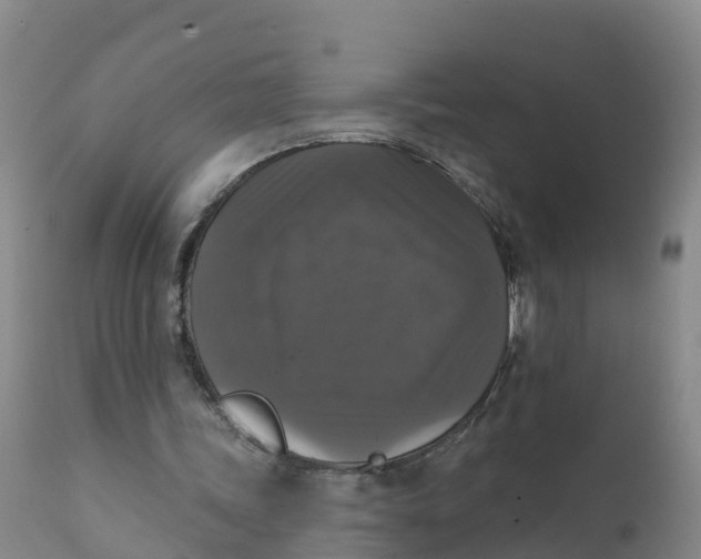 X0000111800339200908131441