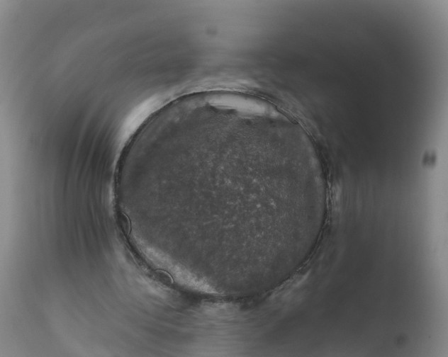 X0000111800340200908131441