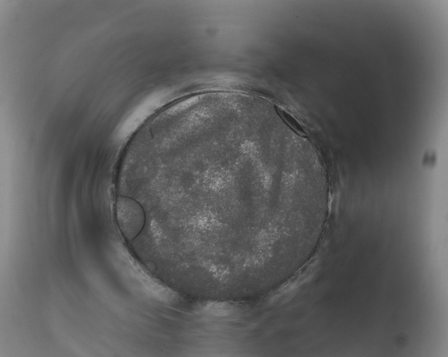 X0000111800341200908131441