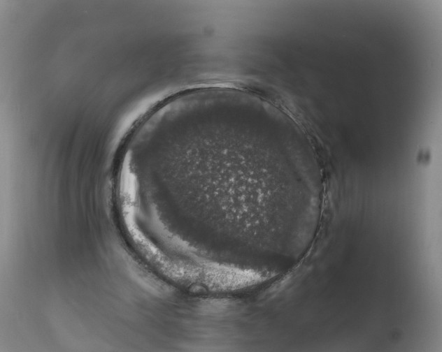 X0000111800342200908131441