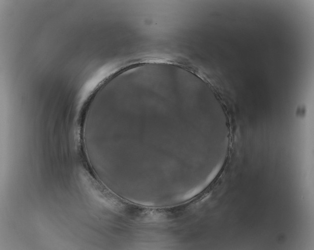 X0000111800343200908131441