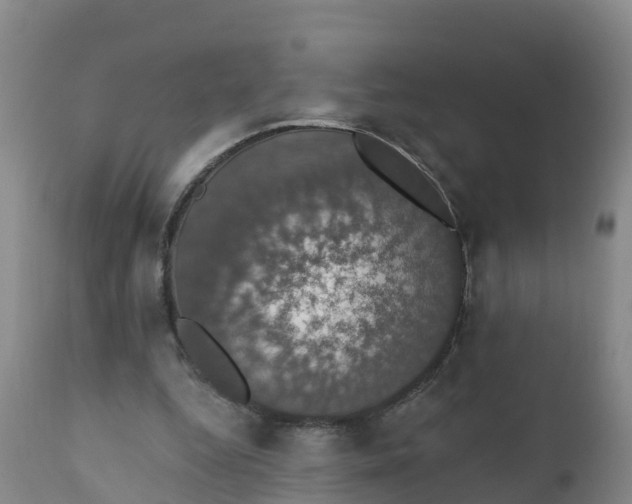 X0000111800344200908131441