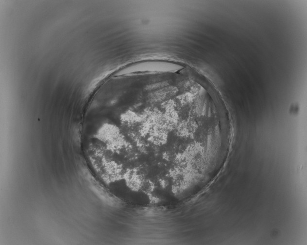 X0000111800345200908131441