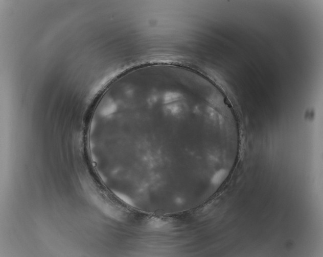 X0000111800346200908131441