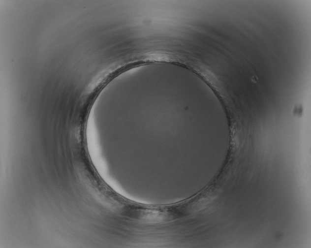 X0000111800347200908131441