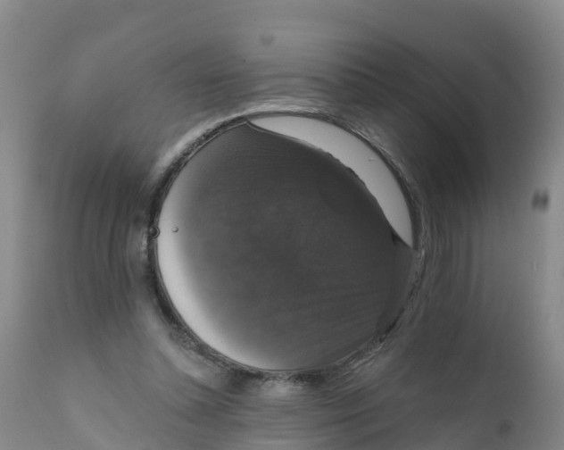X0000111800348200908131441