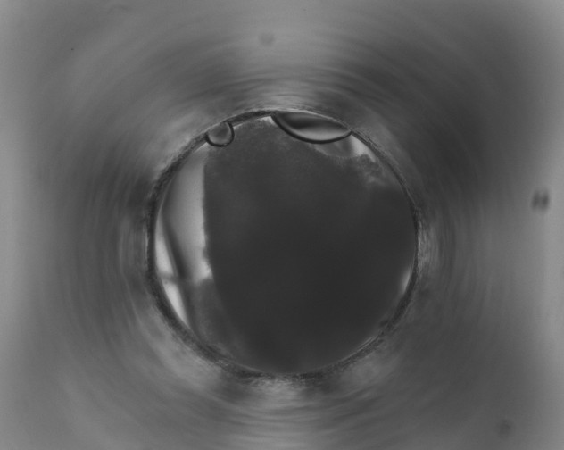 X0000111800349200908131441