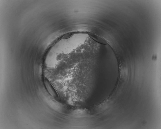 X0000111800350200908131441