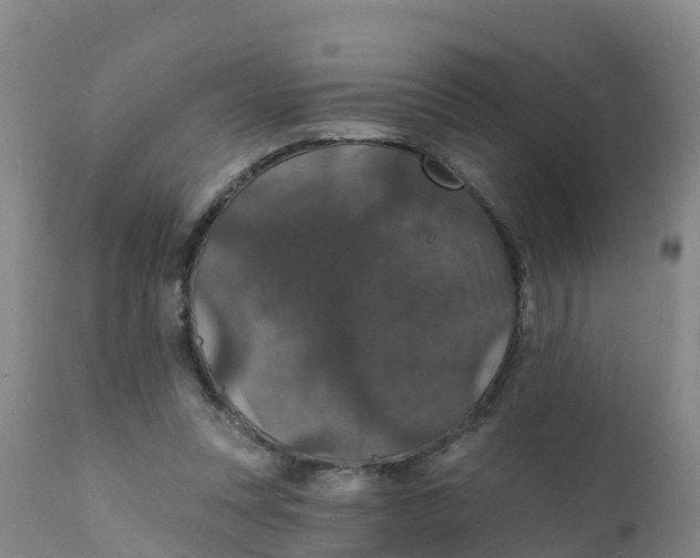 X0000111800351200908131441