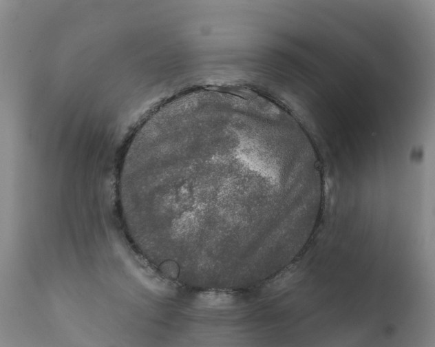 X0000111800354200908131441