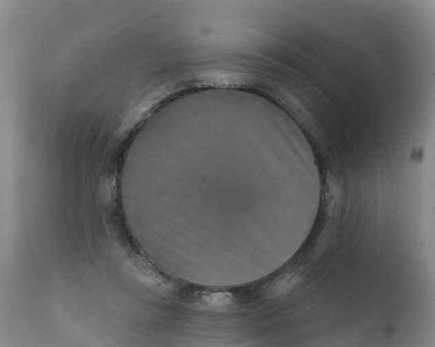 X0000111800355200908131441
