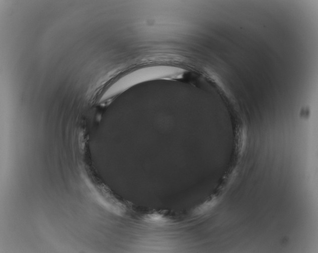 X0000111800356200908131441