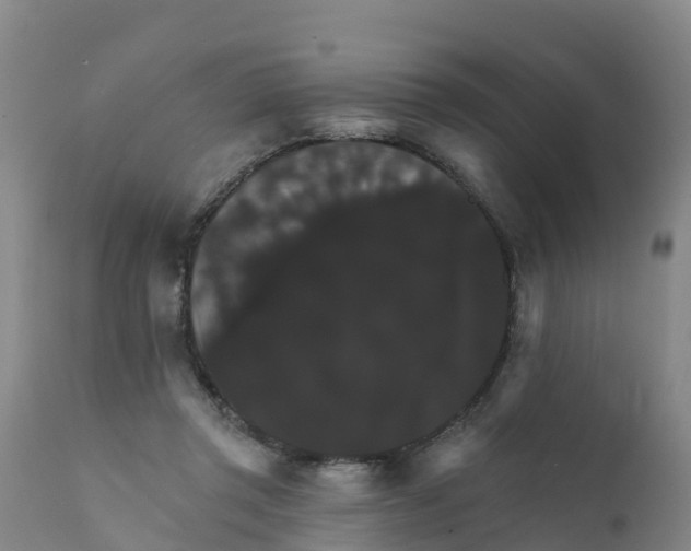 X0000111800357200908131441