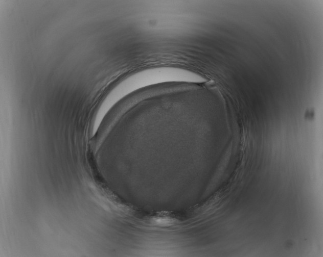 X0000111800360200908131441