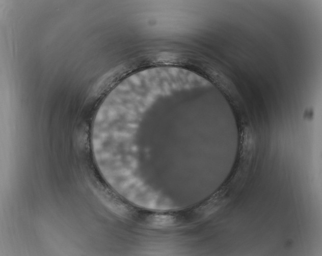 X0000111800361200908131441