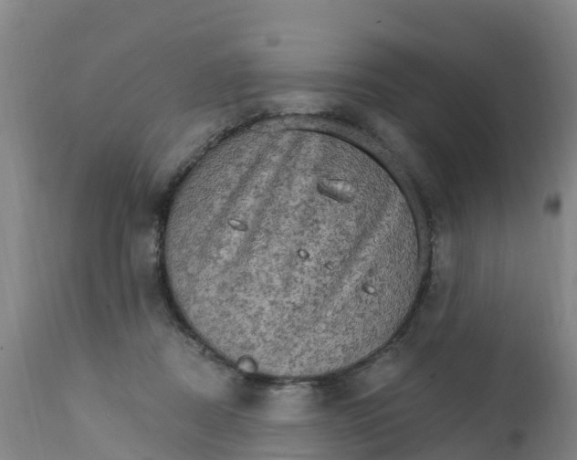 X0000111800362200908131441