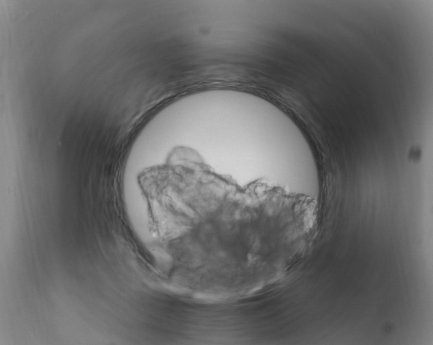 X0000111800363200908131441