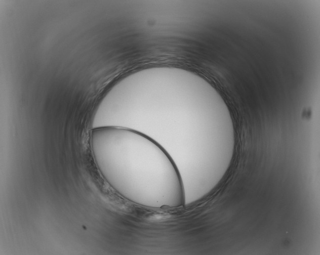 X0000111800364200908131441
