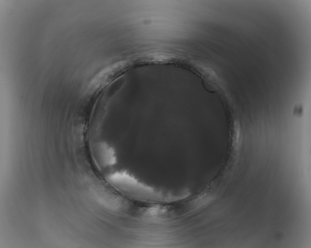 X0000111800366200908131441