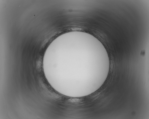 X0000111800367200908131441