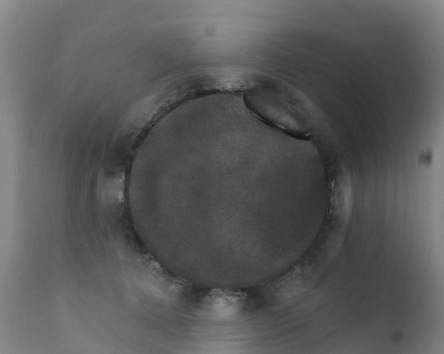 X0000111800368200908131441