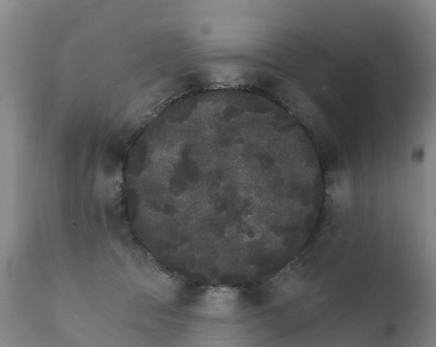 X0000111800369200908131441