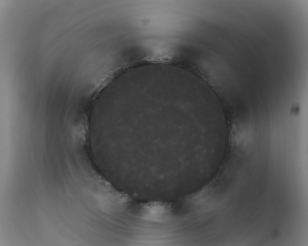 X0000111800370200908131441
