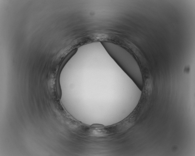 X0000111800372200908131442