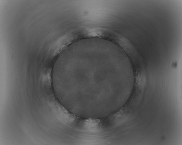 X0000111800373200908131442