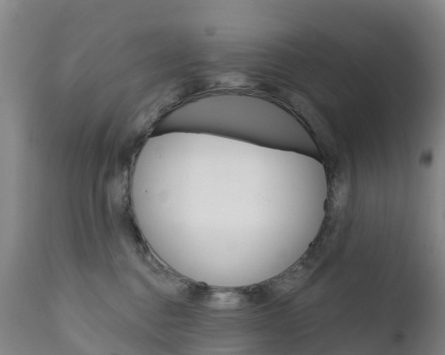 X0000111800376200908131442
