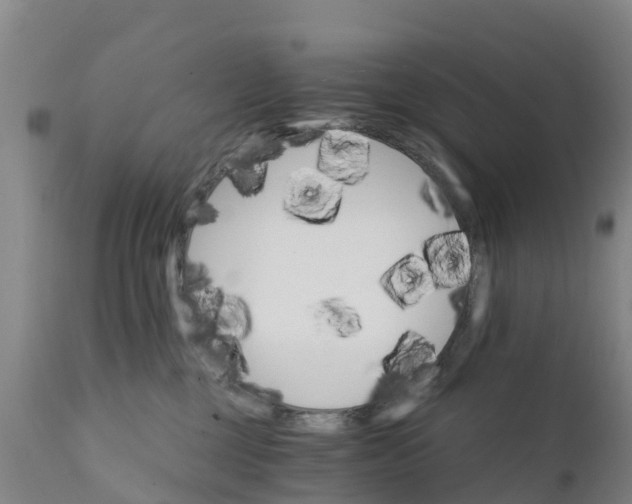 X0000111800377200908131442